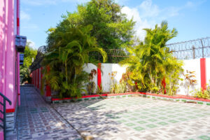 DSC01718 300x200