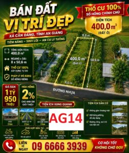 AG14 252x300