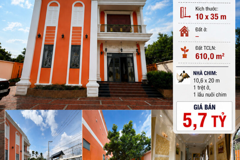 B&Aacute;N BIỆT THỰ NGHỈ DƯỠNG KẾT HỢP NU&Ocirc;I CHIM YẾN &ndash; X&Atilde; BẢO L&Acirc;M 2, L&Acirc;M ĐỒNG(MD03,04)