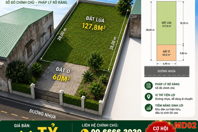 ĐẤT MẶT TIỀN ĐƯỜNG NHỰA TẠI  Đắk Lắk(MD02)