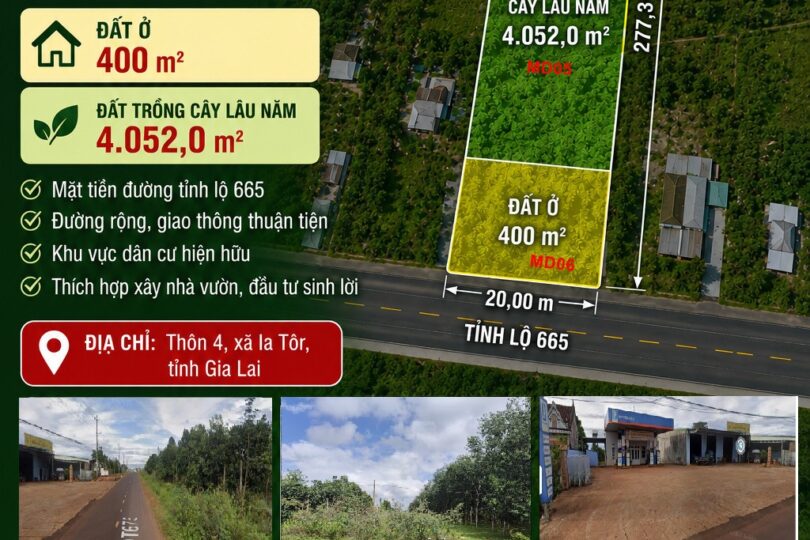 BÁN 2 THỬA ĐẤT MẶT TIỀN TỈNH LỘ 665 – IA TÔR, GIA LAI(MD05,06)