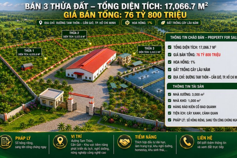 17.066,7m² ĐẤT  CẦN GIỜ  – GIÁ CHỈ 76 TỶ