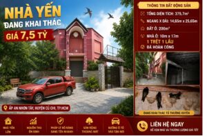 Hcm5 nha chim cu chi 300x203