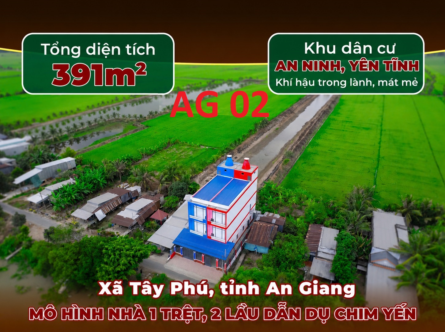 nhà chim căn đôi2