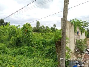Z7871566235302 2b6093fad186eb815a9d9c42287e121c 300x225