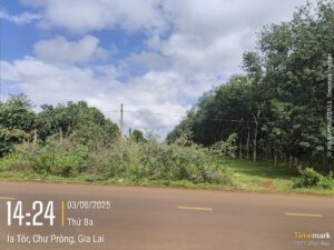 Z7938370715436 5188a0fa2030f78d42a3d60763daa815 300x225